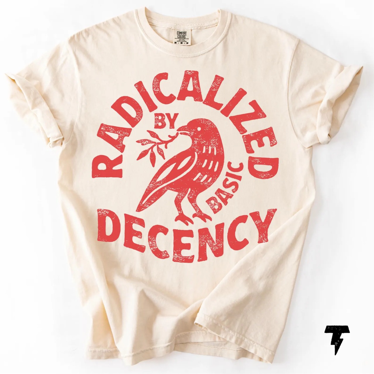 Radicalized By Basic Decency Unisex Shirt
